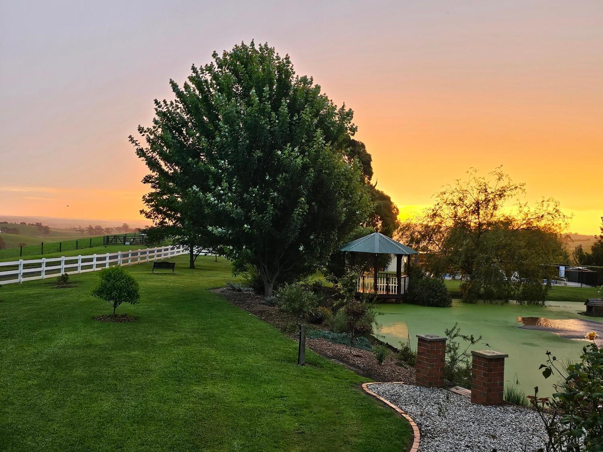 Maple Ridge Cottages Dumbalk Luaran gambar