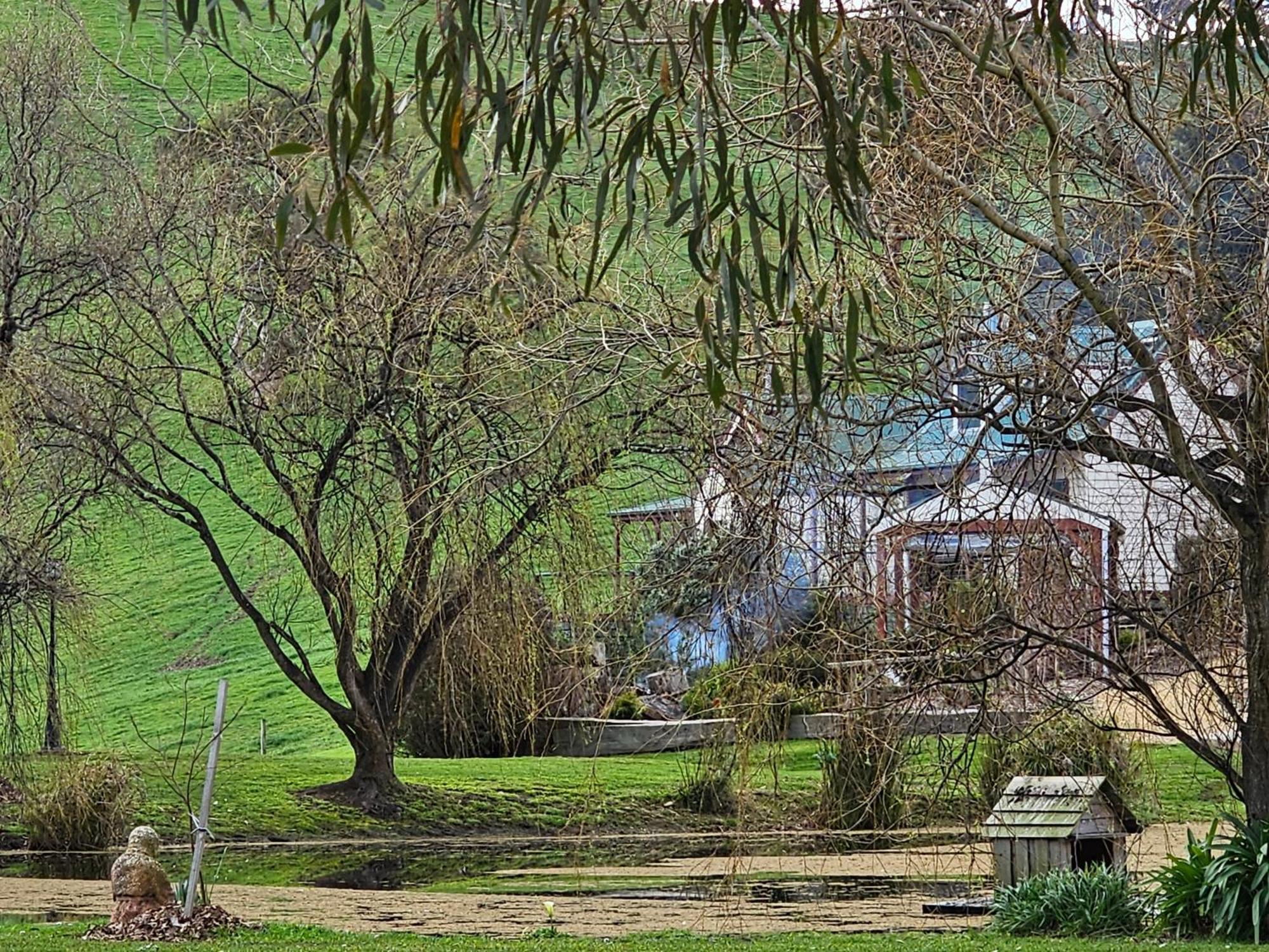 Maple Ridge Cottages Dumbalk Luaran gambar